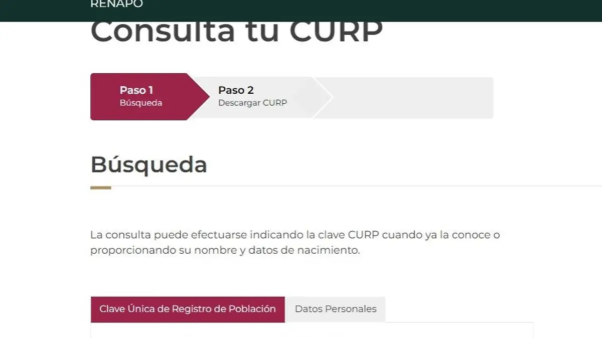 búsqueda CURP